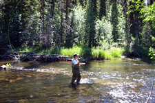 Canada-British Columbia-Cariboo Wilderness - Siwash Lake Ranch
